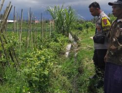 Bhabinkamtibmas Desa Mamben Daya Lakukan Pengecekan Program Ketahanan Pangan Bergizi (P2B) di Dusun Bagek Longgek
