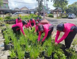 Bhayangkari Ranting Polsek Terara Gelar Launching Pemanfaatan Pekarangan Pangan Lestari