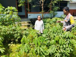 Bhabinkamtibmas Peresak Sambangi Pekarangan Pangan Bergizi Warga Binaannya