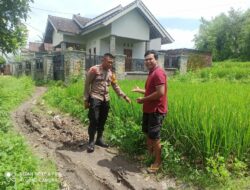 Bhabinkamtibmas Desa Rumbuk Timur Laksanakan Pengecekan Lahan P2B untuk Tingkatkan Produksi Padi dan Kedelai