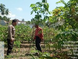 Pengecekan Lahan Ketahanan Pangan Bergizi di Desa Apitaik
