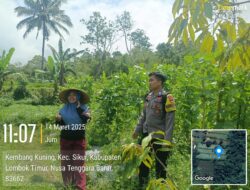 Bhabinkamtibmas Desa Jeruk Manis Lakukan Pengecekan Lahan Ketahanan Pangan