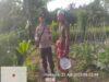 Bhabinkamtibmas Kelurahan Tanjung Lakukan Sambang Desa Dan Cek Lahan Ketahanan Pangan Bergizi