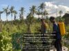 Bhabinkamtibmas Desa Pringgasela Timur Pengecekan dan Pemeliharaan Program Ketahanan Pangan