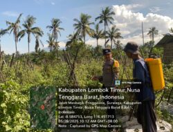 Bhabinkamtibmas Desa Pringgasela Timur Pengecekan dan Pemeliharaan Program Ketahanan Pangan
