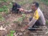 Pengecekan Berkala Ketahanan Pangan Bergizi dilakuan Bhabinkamtibmas Desa Montong Betok