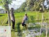 Konsep OtomatiBhabinkamtibmas Desa Pringga Jurang Lakukan Pengecekan dan Pemeliharaan Program Ketahanan Pangan Bergizi
