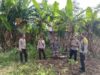 Kapolsek Keruak Tinjau Langsung Perkembangan Program Ketahanan Pangan Bergizi