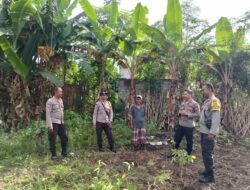 Kapolsek Keruak Tinjau Langsung Perkembangan Program Ketahanan Pangan Bergizi