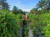 Bhabinkamtibmas Desa Masbagik Utara Sambang Warga dan Kontrol Petani Dukung Ketahanan Pangan