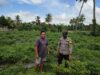 Bhabinkamtibmas Paokmotong Monitoring Tanaman Pekarangan Bergizi dan Himbau Warga Jaga Kamtibmas