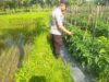 Bhabinkamtibmas Desa Lendang Nangka Laksanakan Pengecekan Ketahanan Pangan Bergizi 