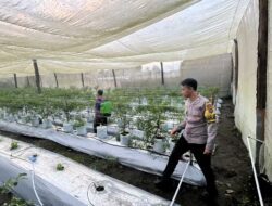 Bhabinkamtibmas Desa Kumbang Lakukan Silaturahmi dan Monitoring Ketahanan Pangan
