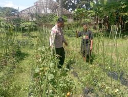 Bhabinkamtibmas Desa Kesik Cek Lahan Ketahanan Pangan Bergizi di Dusun Munsok