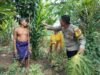 Bhabinkamtibmas Desa Bagik Papan Bersinergi Dukung Ketahanan Pangan dan Keamanan Masyarakat