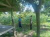 Bhabinkamtibmas Desa Labuhan Lombok Cek Lahan Tanam Jagung Sembari Berikan Himbauan Kamtibmas