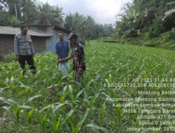 Bhabinkamtibmas Desa Montong Betok lakukan Pengecekan Program Ketahanan Pangan Bergizi
