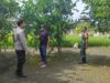 Bhabinkamtibmas Desa Paokmotong Lakukan Monitoring Tanaman Pekarangan Bergizi