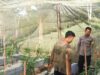 Bhabinkamtibmas Desa Kumbang Laksanakan Silaturahmi Dan Monitoring Ketahanan Pangan