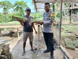 Bhabinkamtibmas Desa Bagik Papan Lakukan Silaturahmi dan Cek Lokasi Pembibitan Pertanian