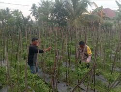 Bhabinkamtibmas Desa Kesik Lakukan Cek Lahan Ketahanan Pangan Bergizi Milik Warga Binaan