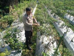 Bhabinkamtibmas Desa Masbagik Timur Cek Lahan Ketahanan Pangan Bergizi