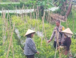 Bhabinkamtibmas Desa Darmasari Cek Lahan Ketahanan Pangan Bergizi
