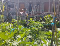 Bhabinkamtibmas Desa Masbagik Timur Cek Lahan Pekarangan Pangan Bergizi