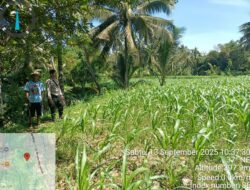 Bhabinkamtibmas Desa Kilang Laksanakan Silaturahmi dan Cek Tanaman Jagung