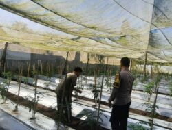 Bhabinkamtibmas Desa Kumbang Sambang Warga dan Pantau Ketahanan Pangan