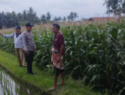 Dukung Program Pemerintah, Bhabinkamtibmas Masbagik Timur Cek Lahan Ketahanan Pangan Bergizi