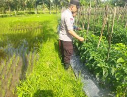 Bhabinkamtibmas Desa Lendang Nangka Cek Lahan Ketahanan Pangan Bergizi