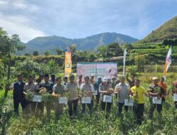 Panen Raya Bawang Putih di Sembalun Melampaui Target, Menuju Swasembada Nasional