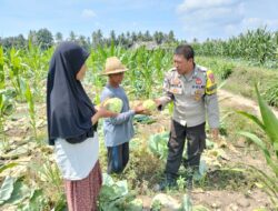 Bhabinkamtibmas Desa Bagik Papan Lakukan Pengecekan Lahan Ketahanan Pangan dan Silaturahmi dengan Warga