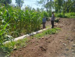 Bhabinkamtibmas Desa Lando Sosialisasikan Penjualan Hasil Panen Jagung Ke Bulog