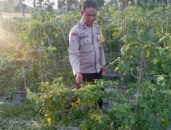 Bhabinkamtibmas Desa Kesik Tinjau Lahan Ketahanan Pangan Warga
