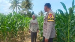 BHABINKAMTIBMAS DESA PRINGGABAYA UTARA DUKUNG KETAHANAN PANGAN DAN CIPTAKAN KAMTIBMAS KONDUSIF