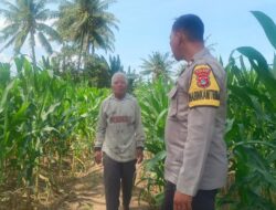 BHABINKAMTIBMAS DESA PRINGGABAYA UTARA DUKUNG KETAHANAN PANGAN DAN CIPTAKAN KAMTIBMAS KONDUSIF